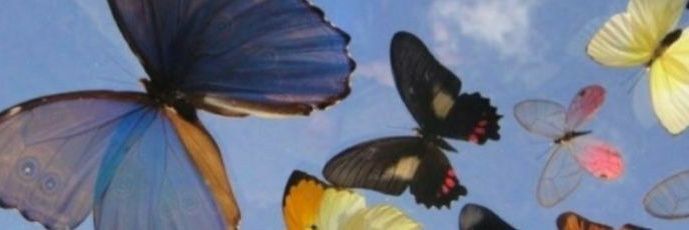 bekildes's profile banner image