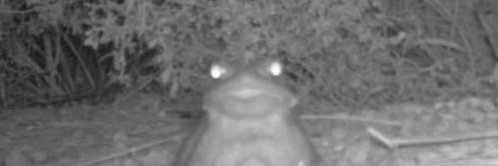 __TheAudacity_'s profile banner image