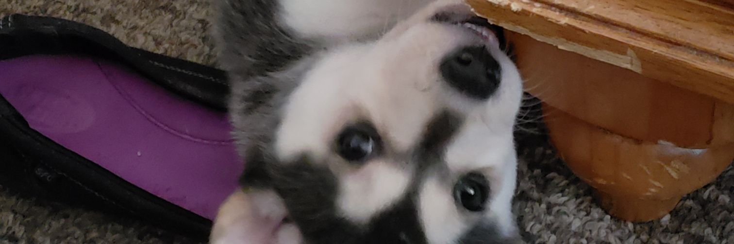 TylerRosko71's profile banner image