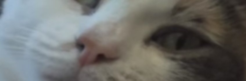 crimsonscull's profile banner image