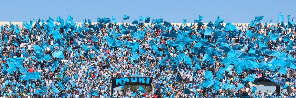 FranSchroder's profile banner image