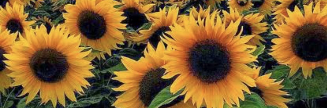 ratihd_utami's profile banner image