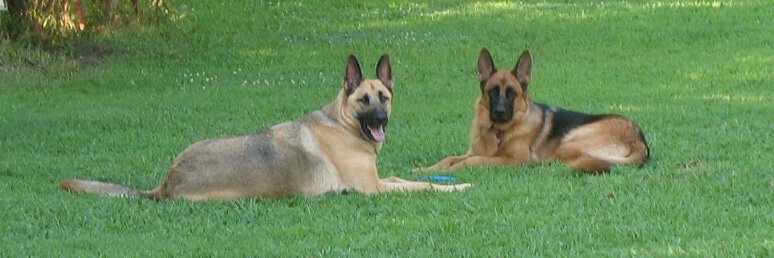 z0tar's profile banner image
