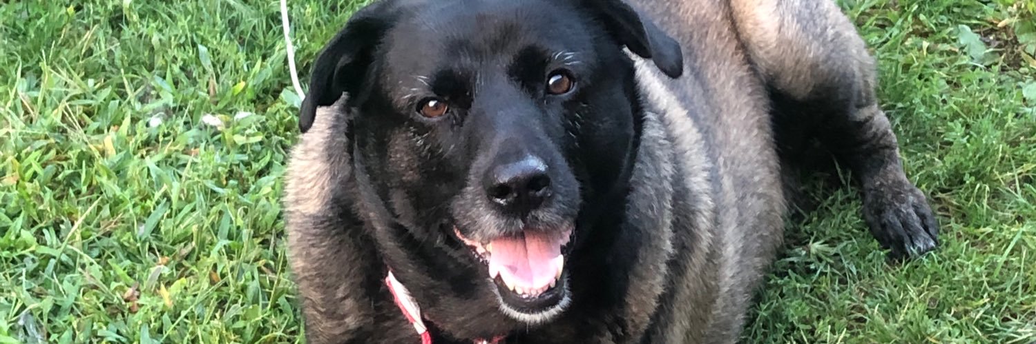jami3970's profile banner image