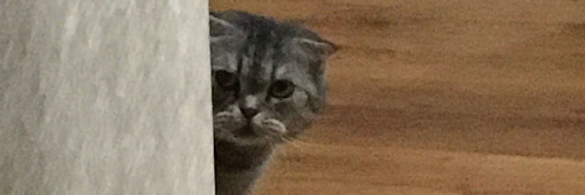 H_D87's profile banner image