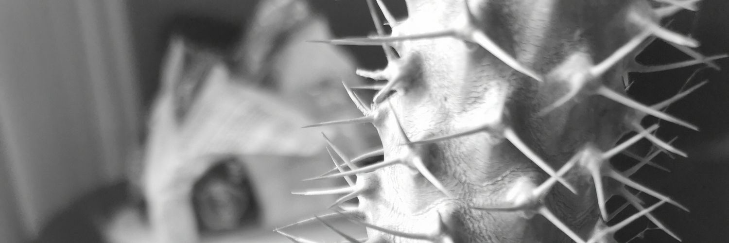 LeoSagahon's profile banner image