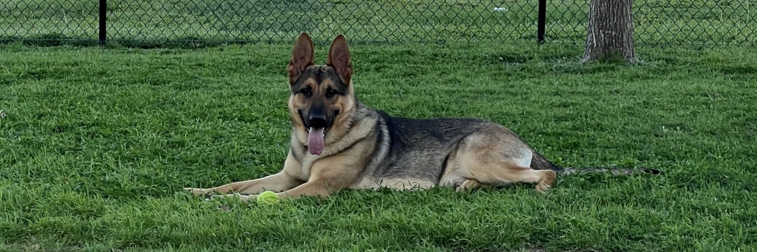 Wcastlemain's profile banner image