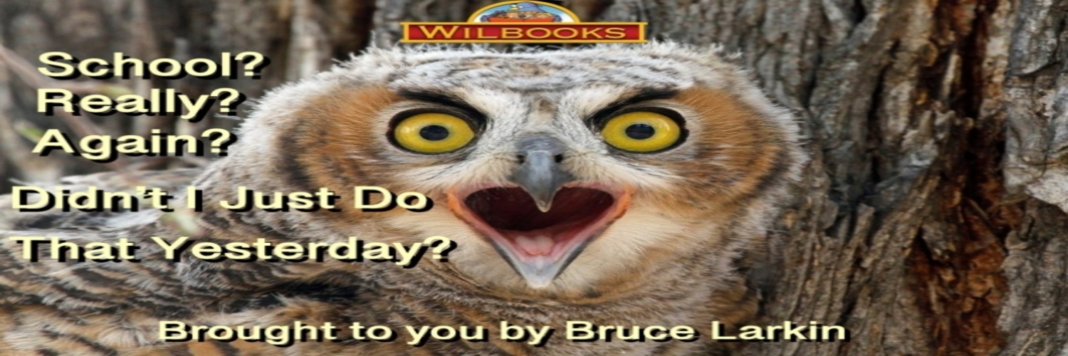 Wilbooks's profile banner image