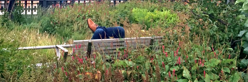 Sarah-Jane Sinclair banner