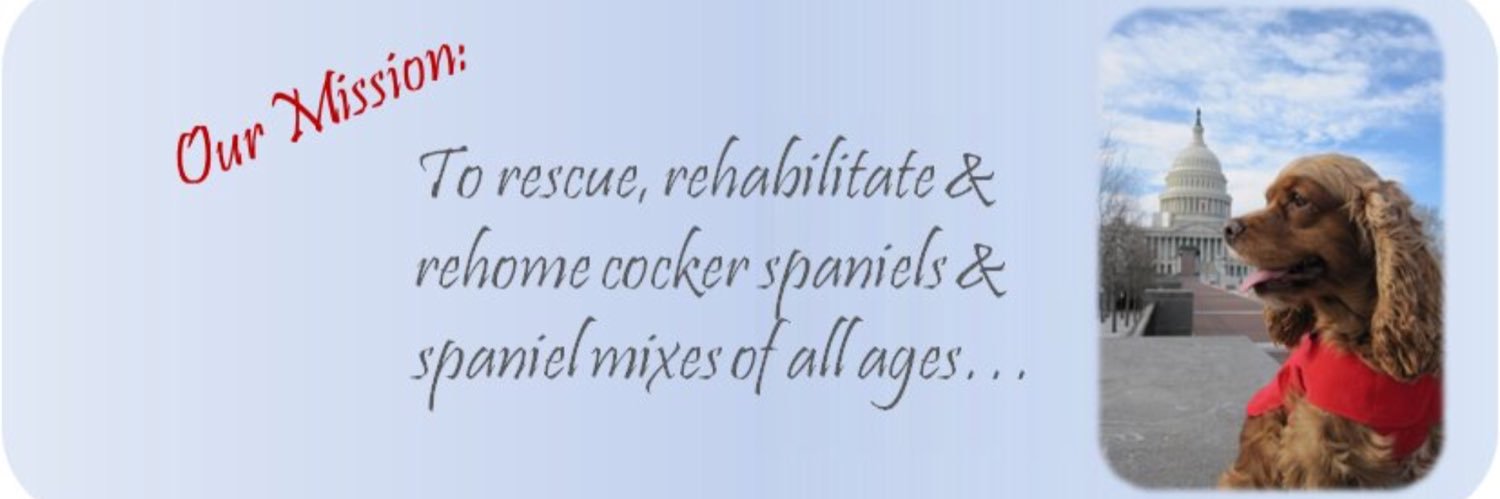 OBGCockerRescue banner