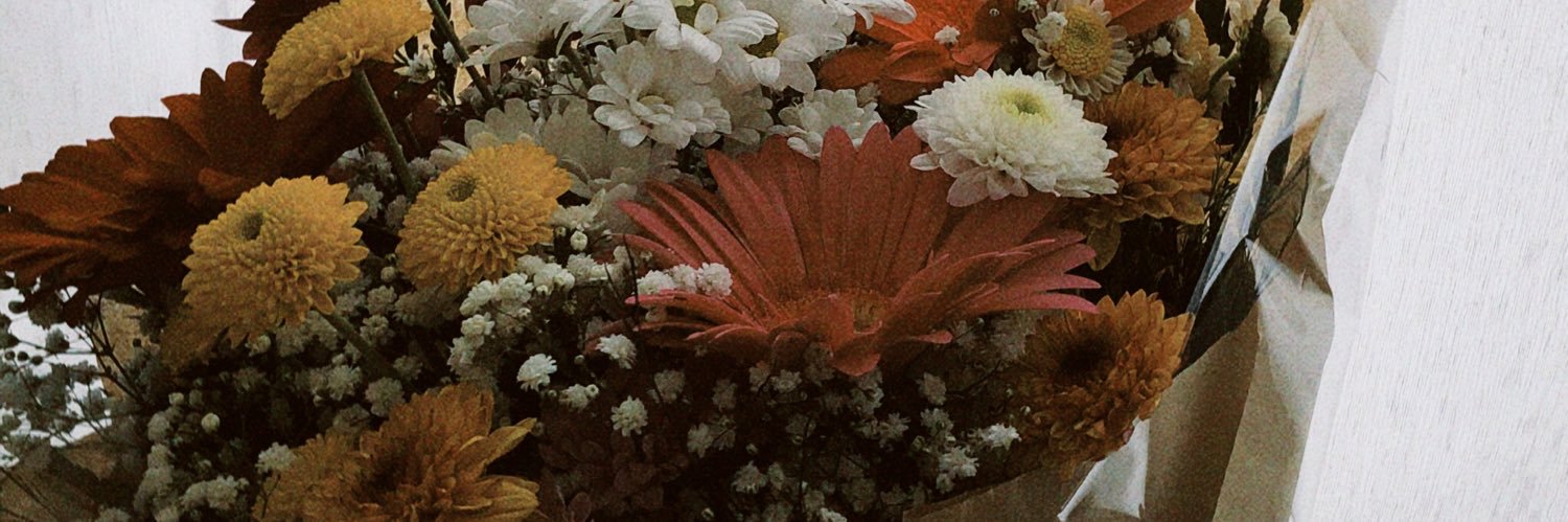 carolzanoni_'s profile banner image