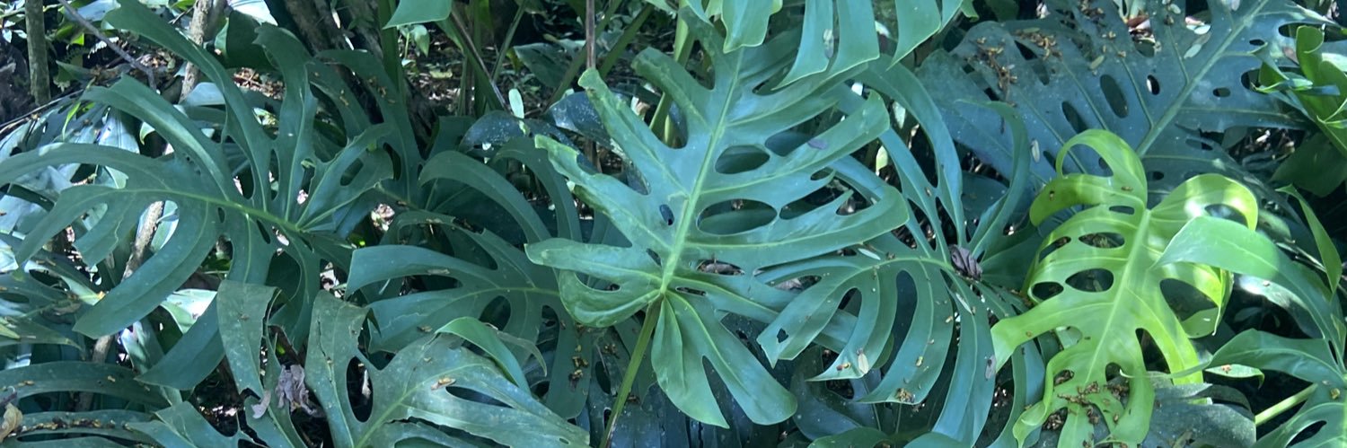Bush_hdv's profile banner image