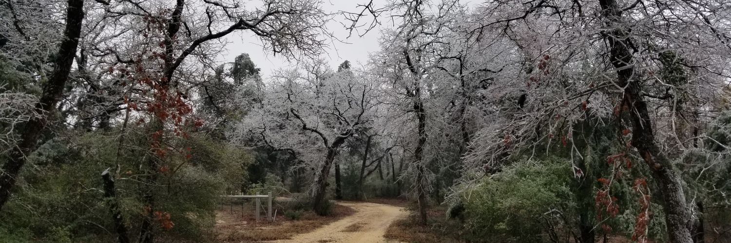 SewAmanda's profile banner image