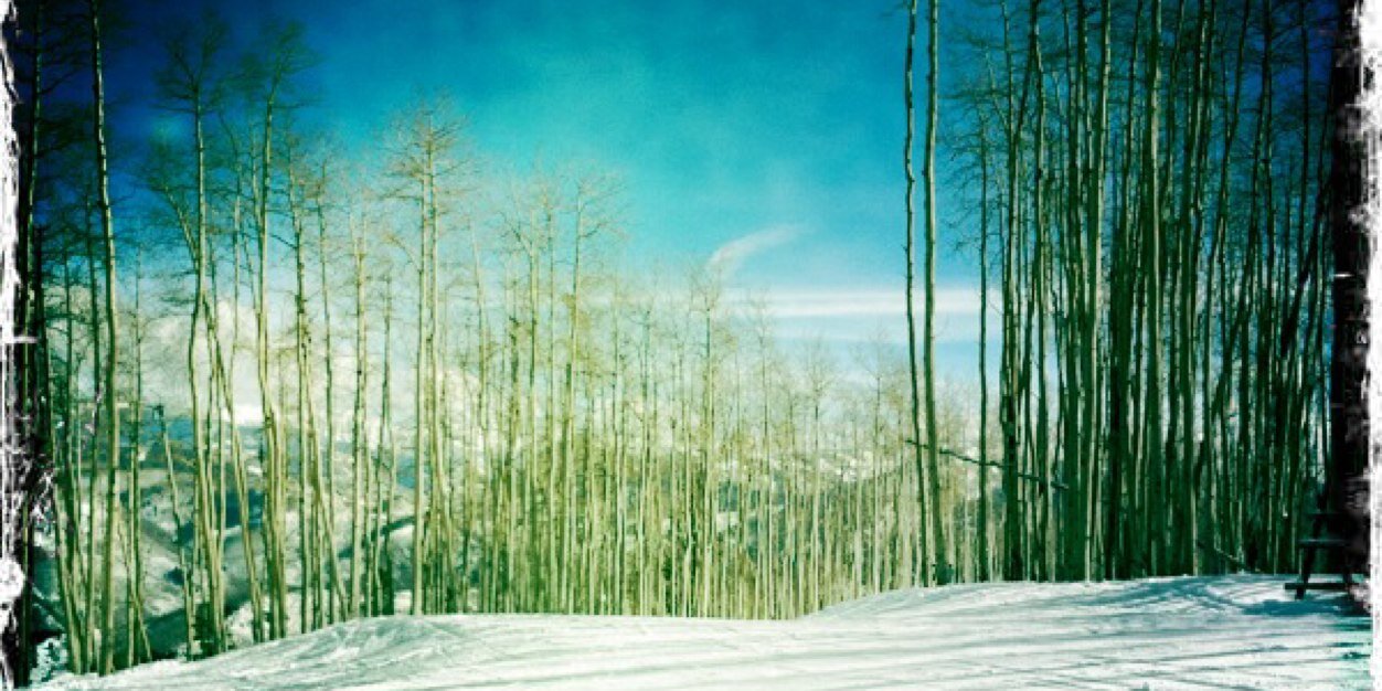 harrietchen's profile banner image