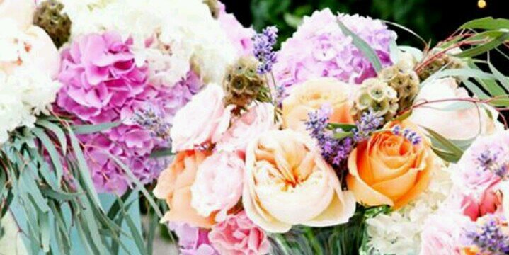 ferrante_irene's profile banner image
