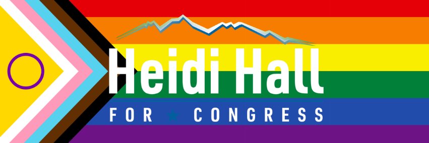 Heidi4Congress's profile banner image