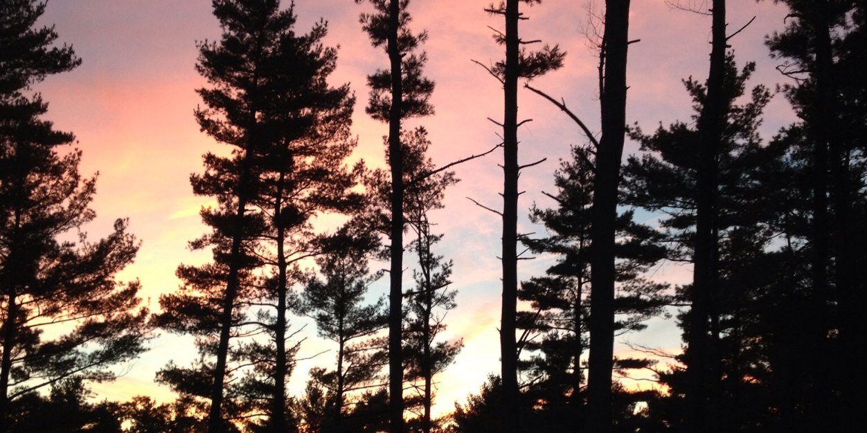 kellilivingston's profile banner image