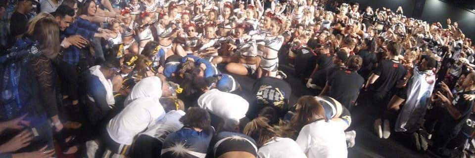 Vizion All Stars banner