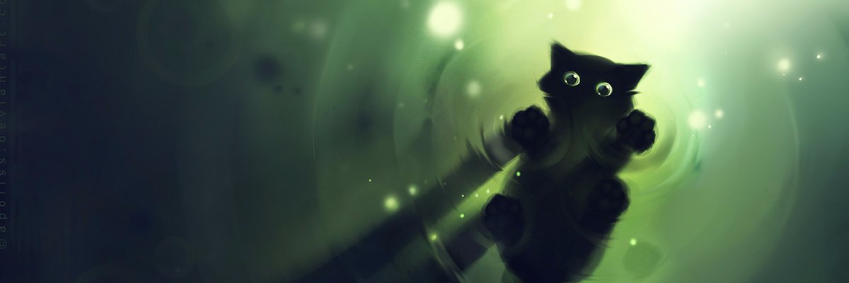 BeguiledBird's profile banner image