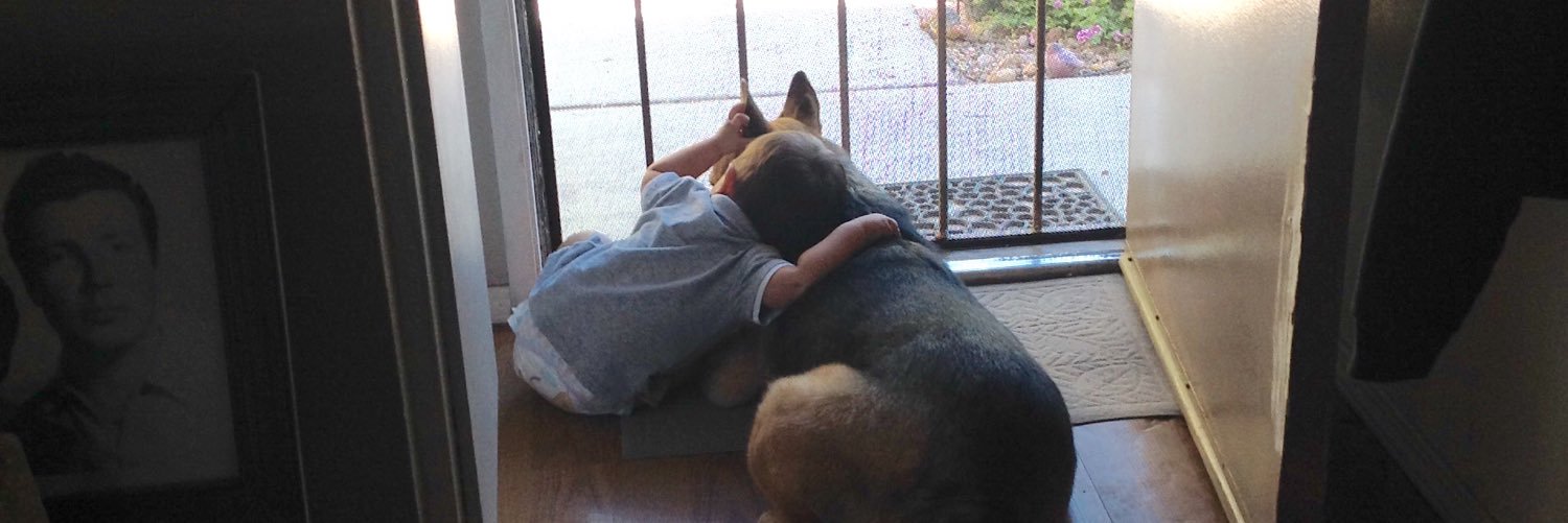 Jessica M Meza banner