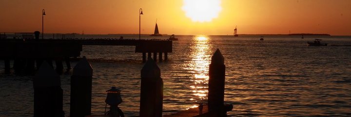 Caldigirl's profile banner image