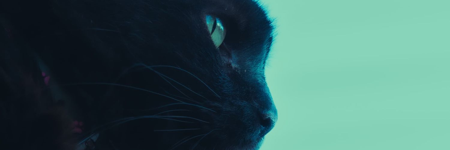 Valee✨️ banner