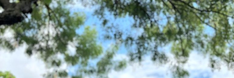 herafiza's profile banner image
