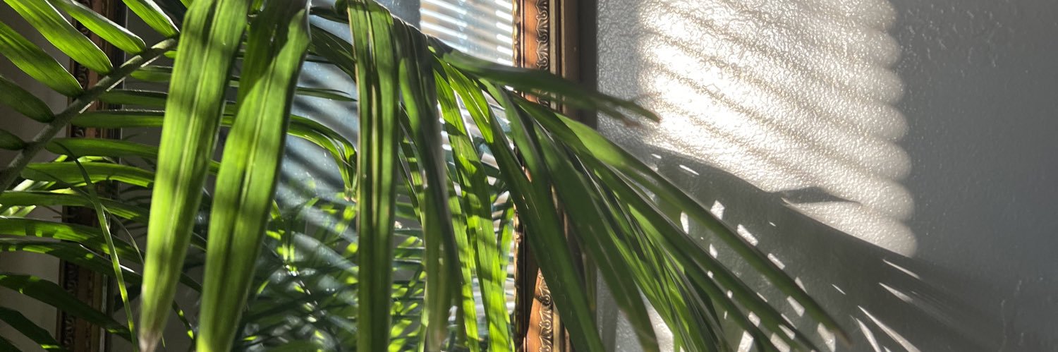 Jogelle's profile banner image