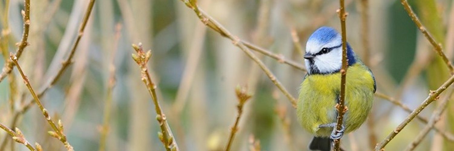 Stuart_Winton's profile banner image