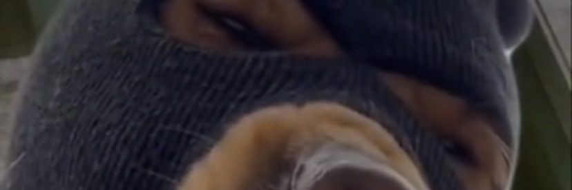 Dobrowisch's profile banner image