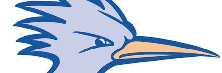 Nicole collier banner