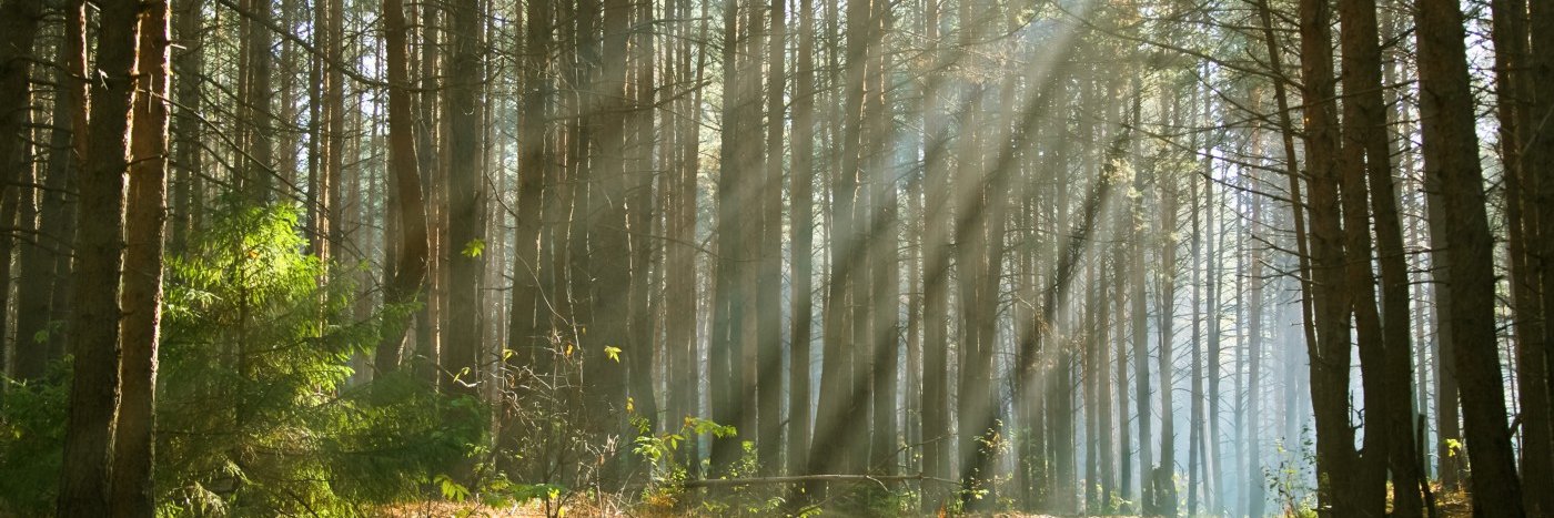 Douglas Phelps banner