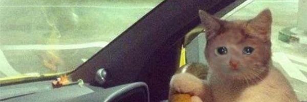 curiousfairy_'s profile banner image