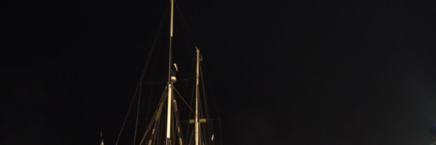 made_duck's profile banner image