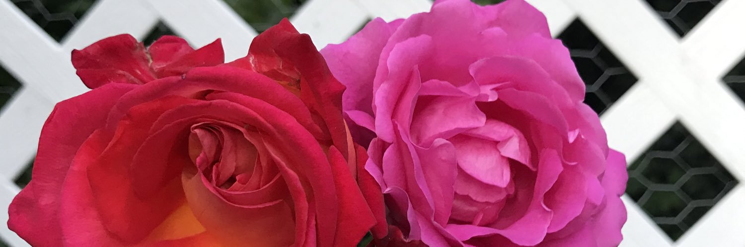 igoham_123's profile banner image