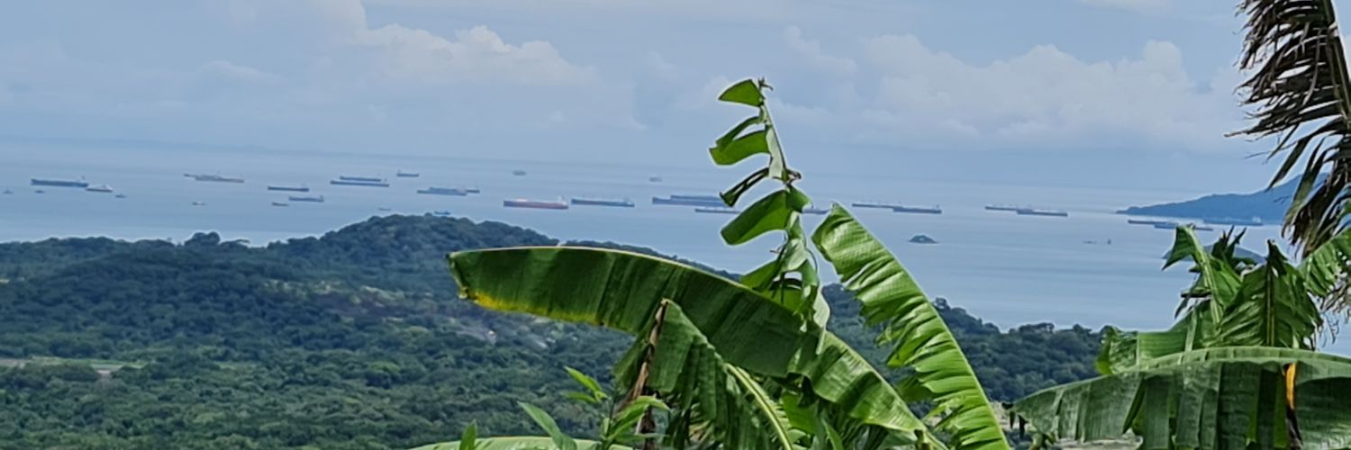 RejanaV's profile banner image