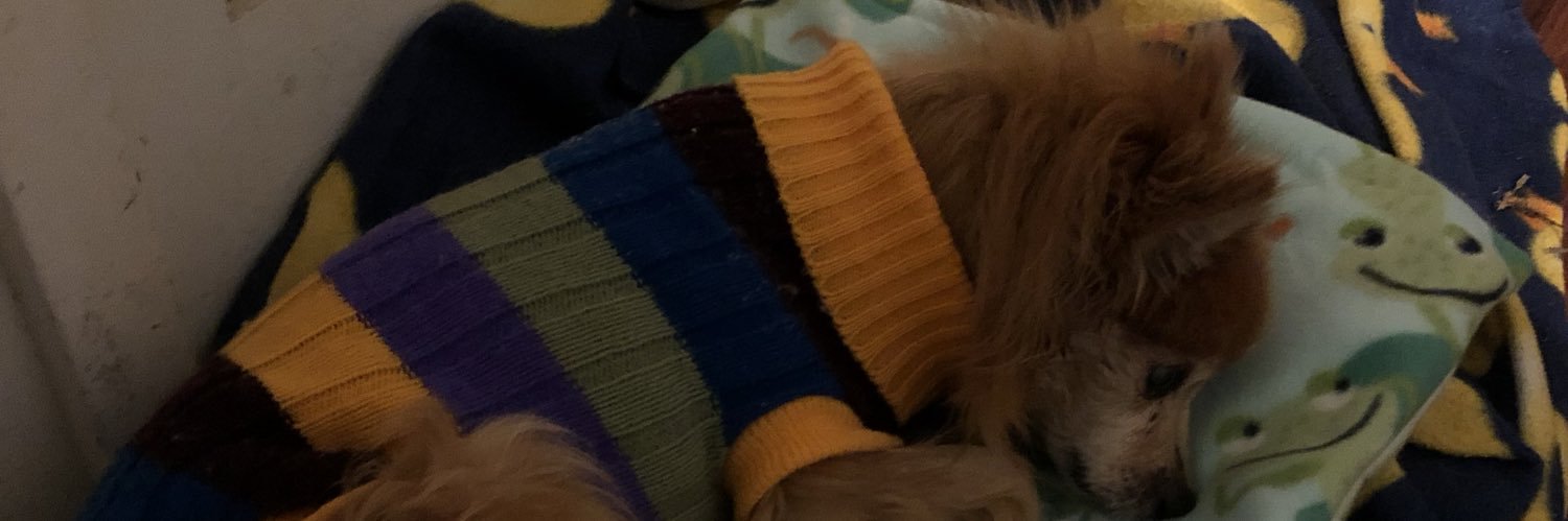 TabithaMillsAus's profile banner image