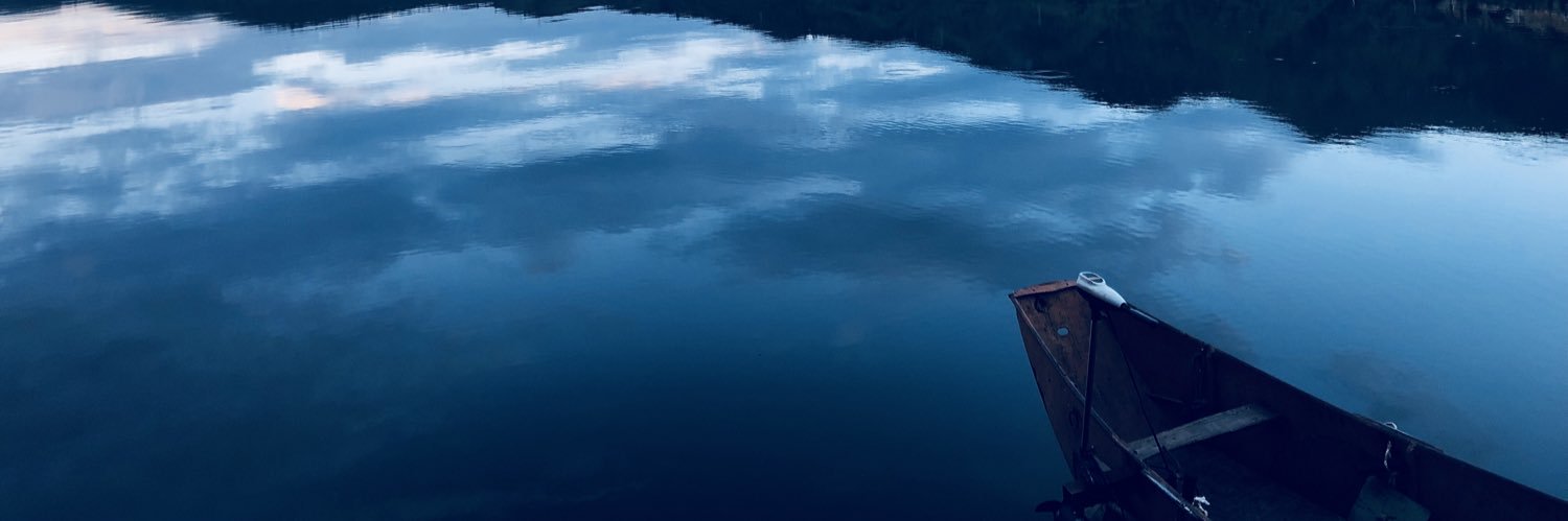 mengtnt's profile banner image