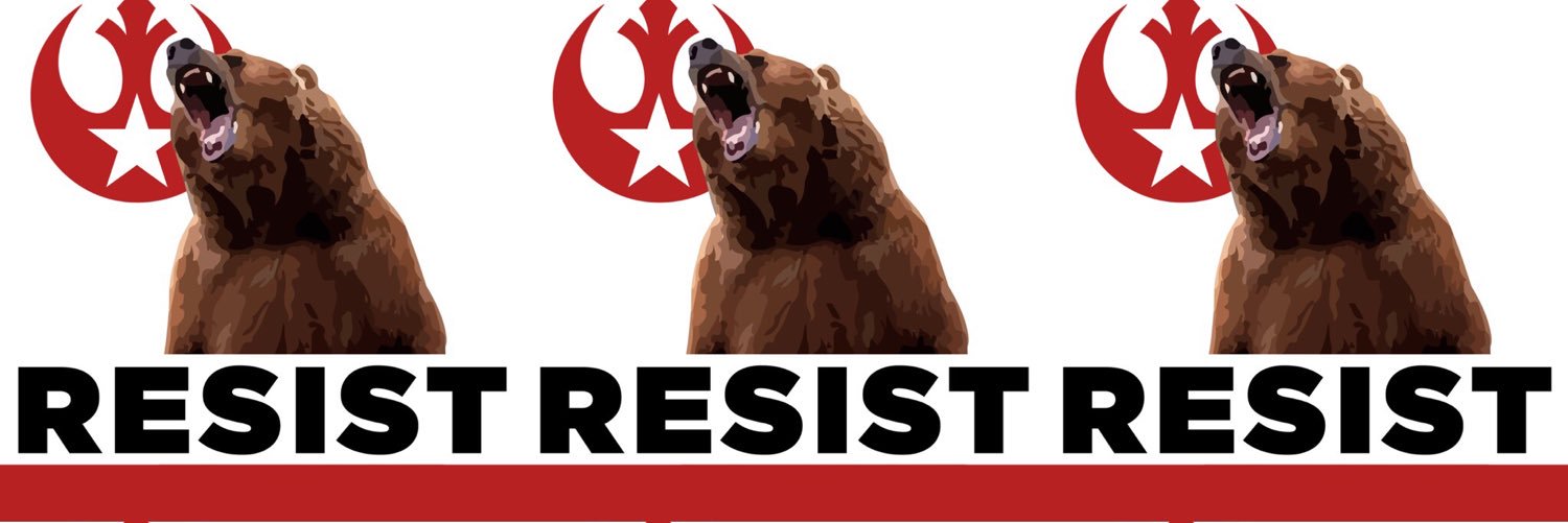 annamcenger's profile banner image
