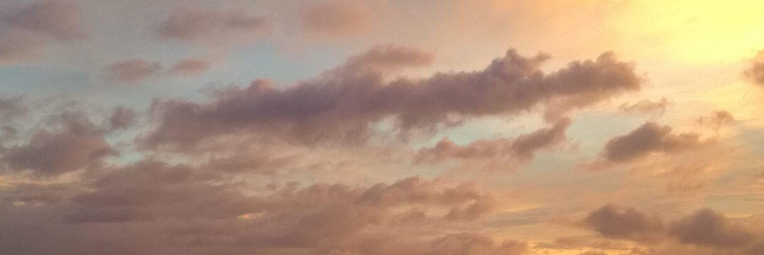 cielaCayton's profile banner image