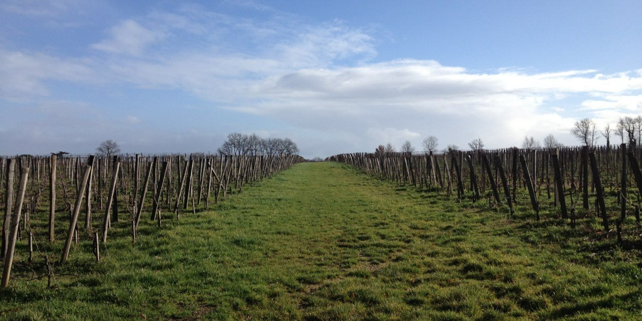 Justine V. Sanchez banner