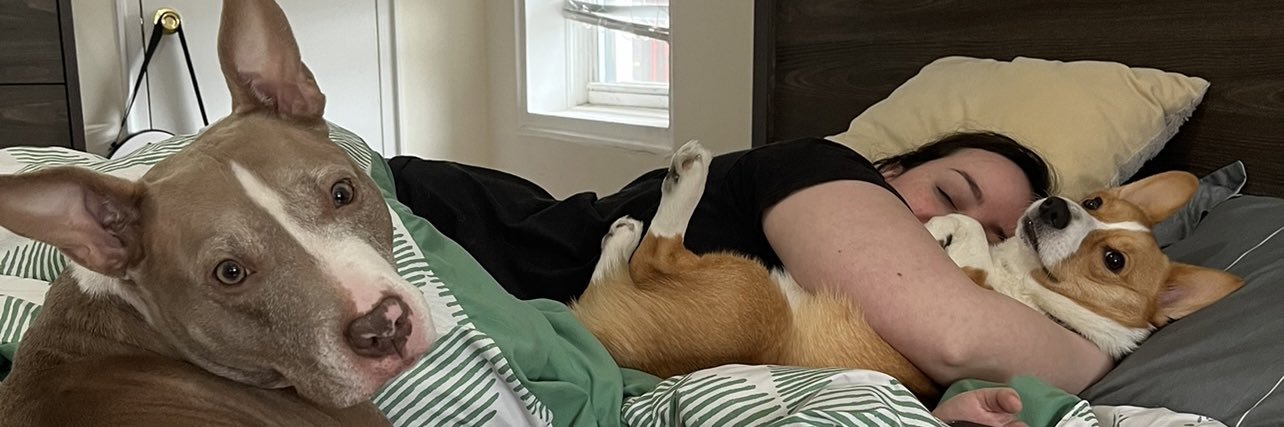 glazedd0nut's profile banner image