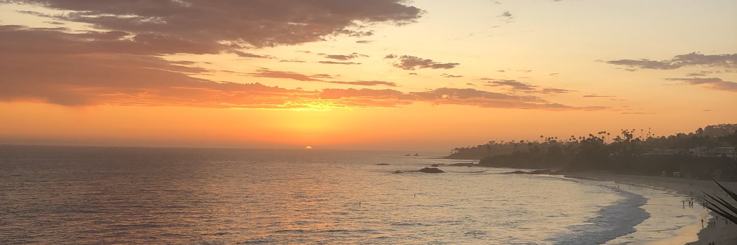 lacerbeann's profile banner image