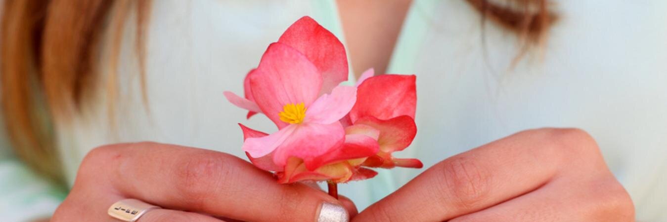 Melanee Shale banner