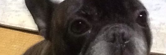 まぁ坊＠【駘熾】〈未定〉masahiro Mori 1970 banner