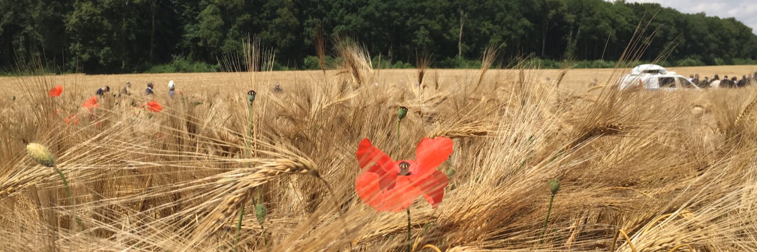 Viscount Gareth Davies of Deadpool. banner