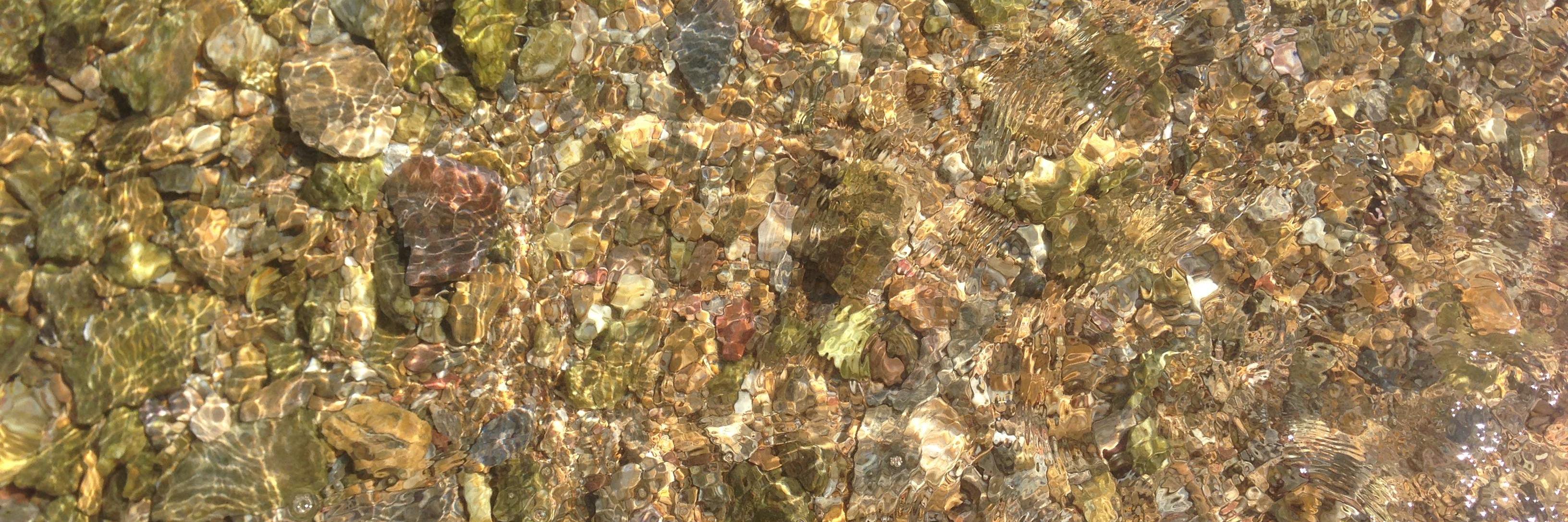 Angelica Machado banner