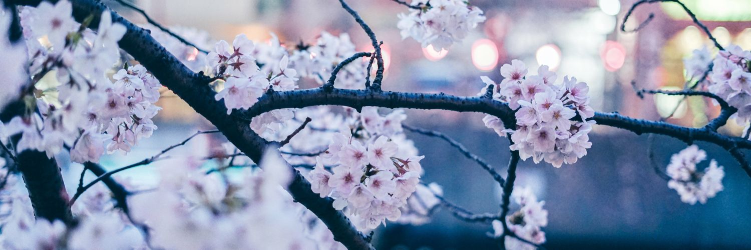 I_Chou_you's profile banner image