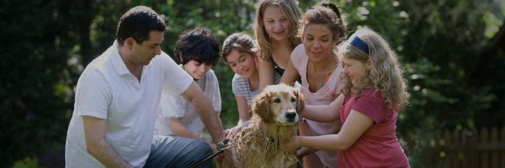 1FamilyNation's profile banner image