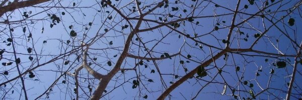 gi_sami Profile Banner